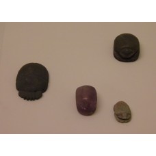 Skarabeler or Scarabs (Dung beetle), symbols of the sun god